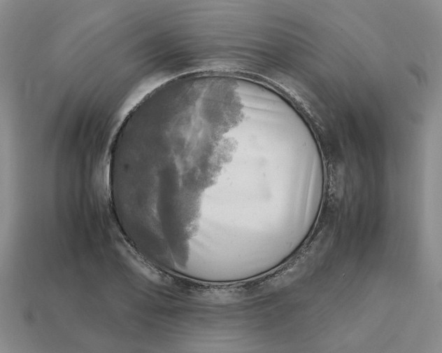 X0000112971078200909101648