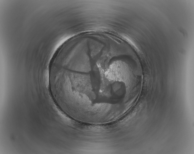 X0000112971079200909101648