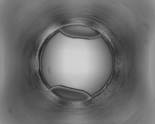 X0000112971080200909101648