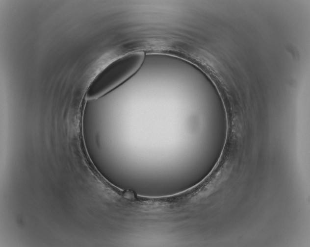 X0000112971081200909101648