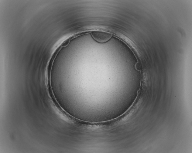 X0000112971082200909101648