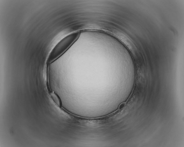 X0000112971084200909101648