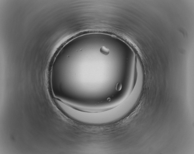 X0000112971085200909101648