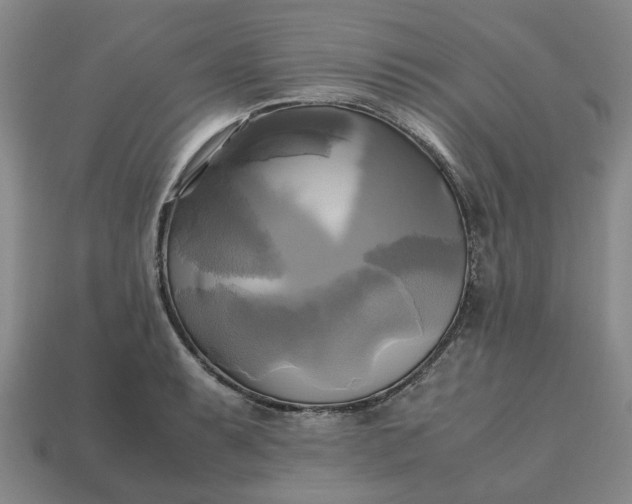 X0000112971087200909101648