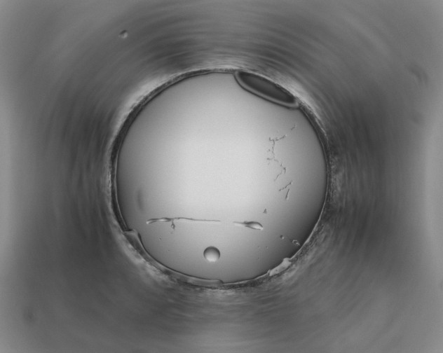 X0000112971088200909101648