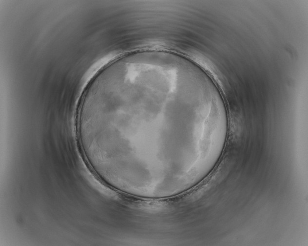 X0000112971090200909101648