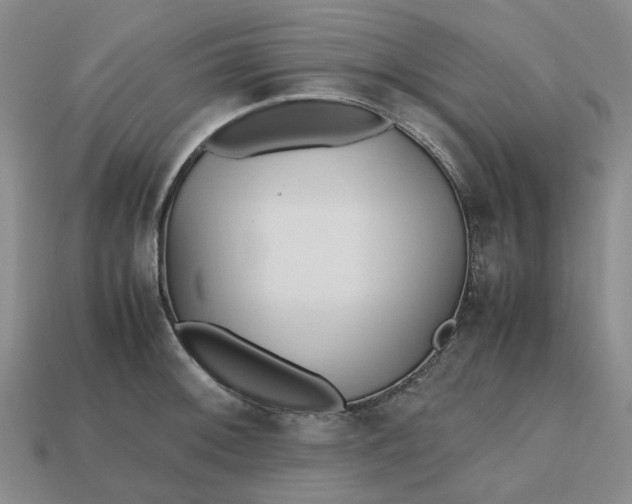 X0000112971092200909101648