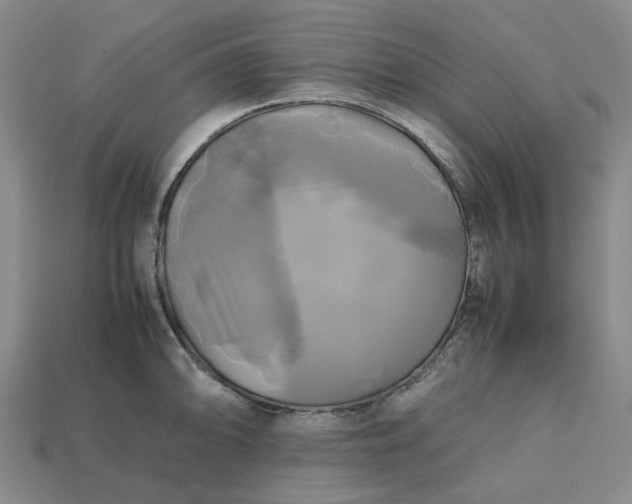 X0000112971094200909101648