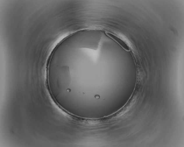 X0000112971095200909101648