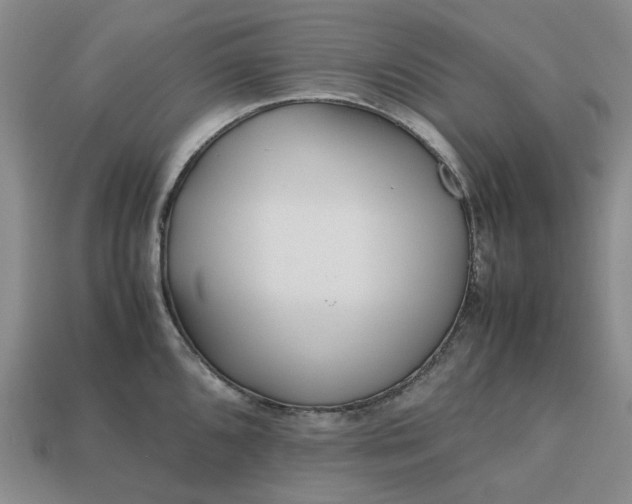 X0000112971096200909101648