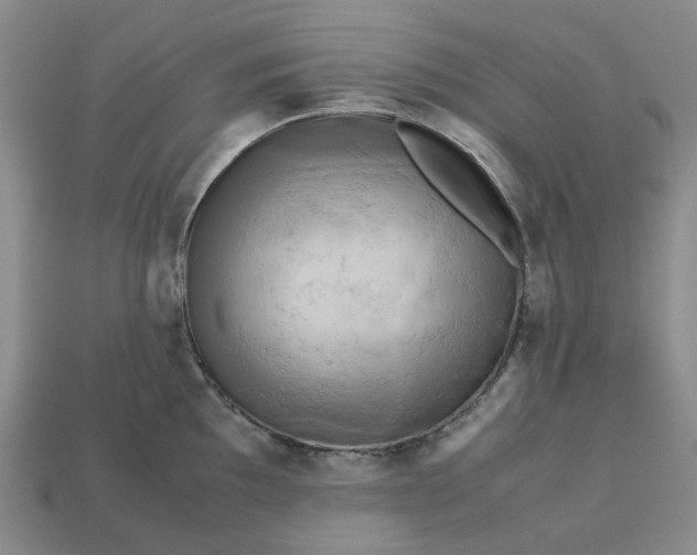 X0000112971097200909101648