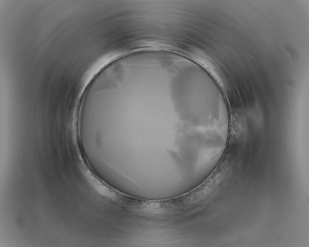 X0000112971098200909101648