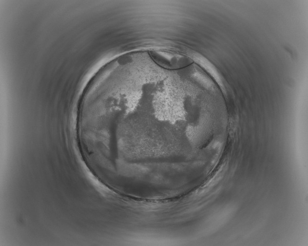 X0000112971099200909101648