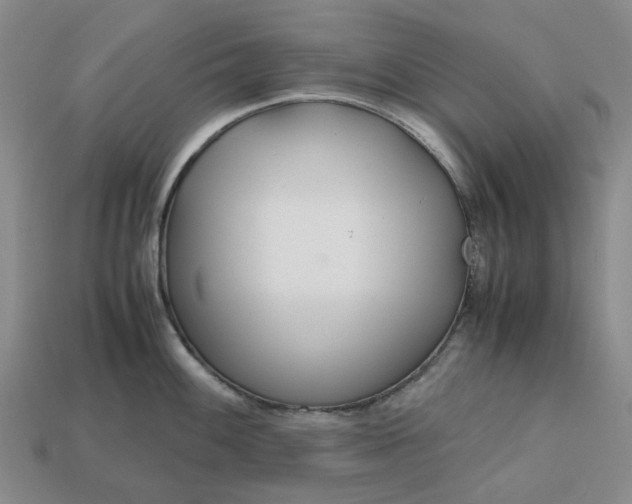 X0000112971100200909101648