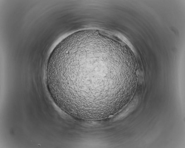 X0000112971101200909101648