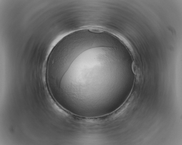 X0000112971102200909101648