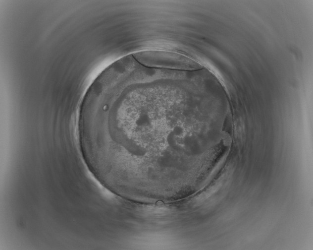 X0000112971103200909101648