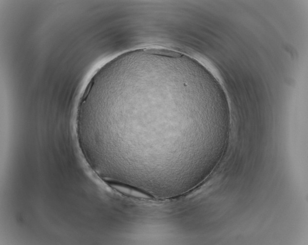 X0000112971104200909101648