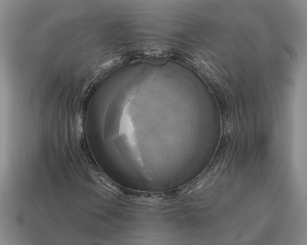 X0000112971106200909101647