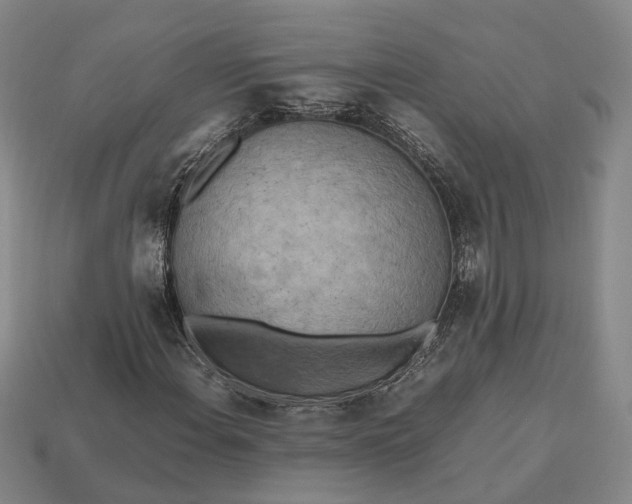 X0000112971108200909101647