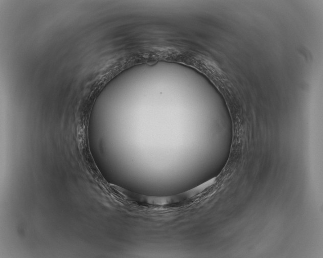 X0000112971109200909101647