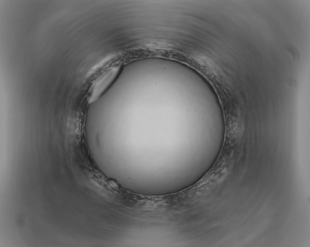 X0000112971110200909101647