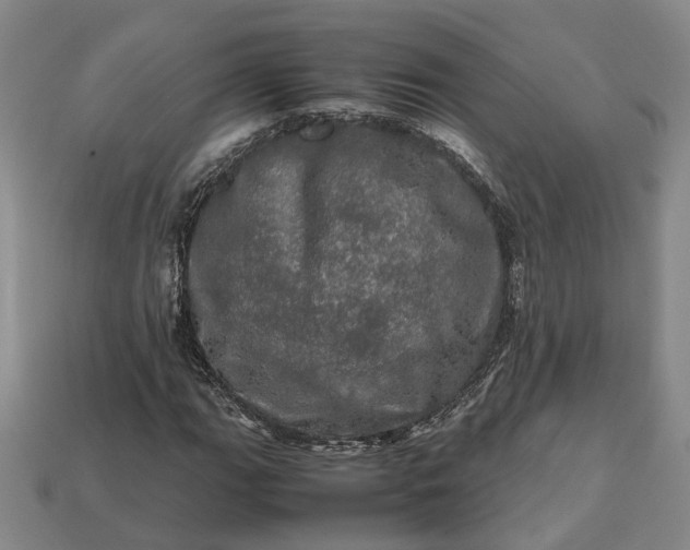 X0000112971111200909101647