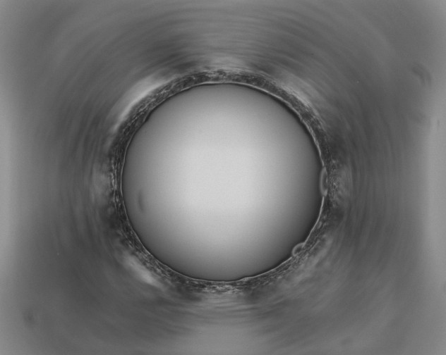 X0000112971112200909101647