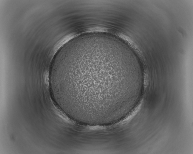 X0000112971113200909101647