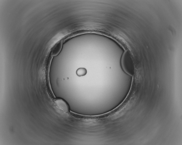 X0000112971114200909101647