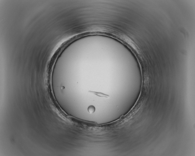 X0000112971116200909101647