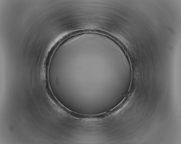 X0000112971118200909101647