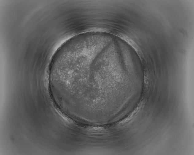 X0000112971119200909101647