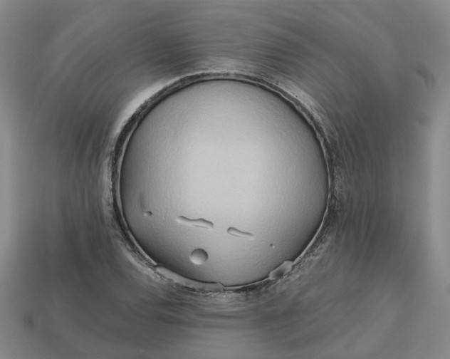 X0000112971120200909101647