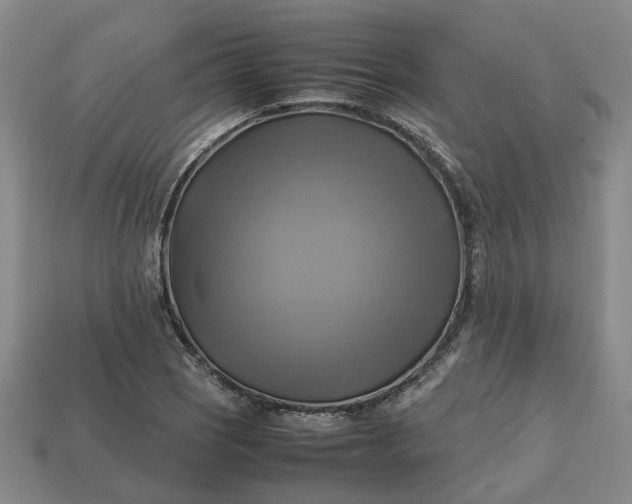 X0000112971121200909101647