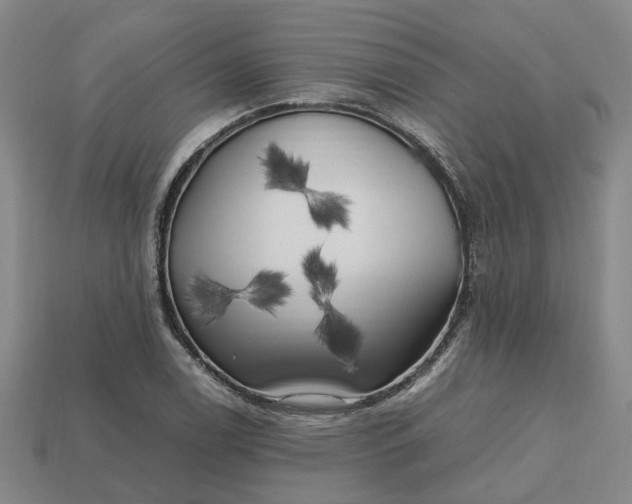 X0000112971122200909101647