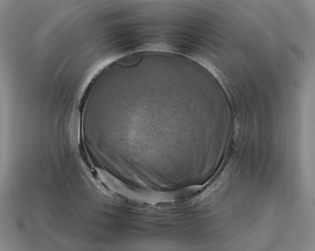 X0000112971123200909101647