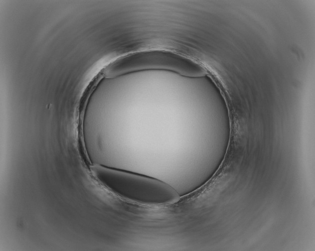 X0000112971124200909101647