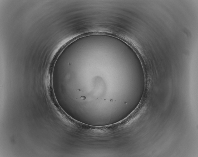 X0000112971125200909101647