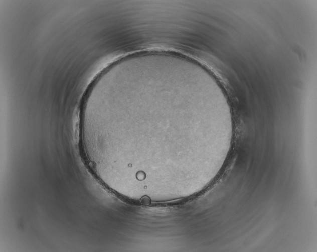 X0000112971126200909101647