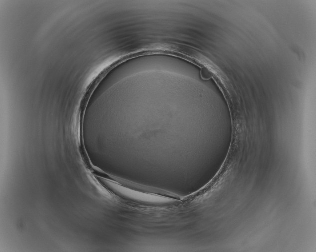 X0000112971127200909101647