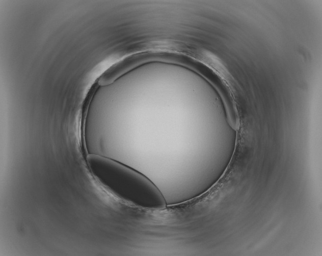 X0000112971128200909101647