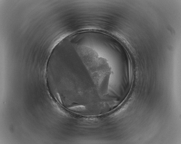 X0000112971129200909101647