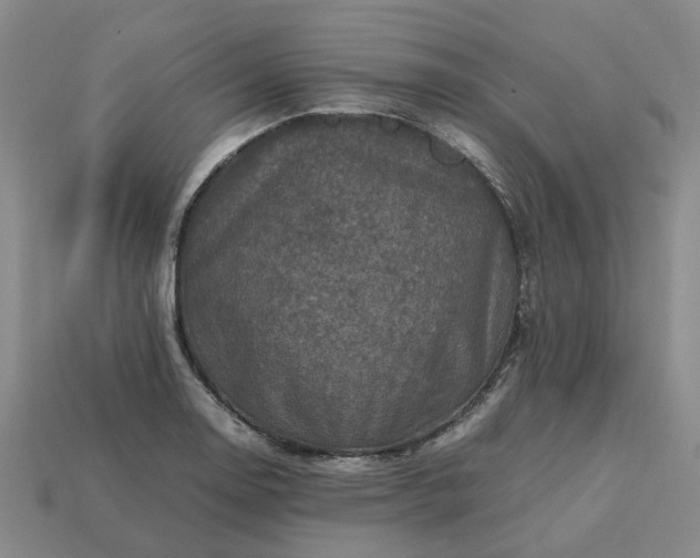 X0000112971130200909101647