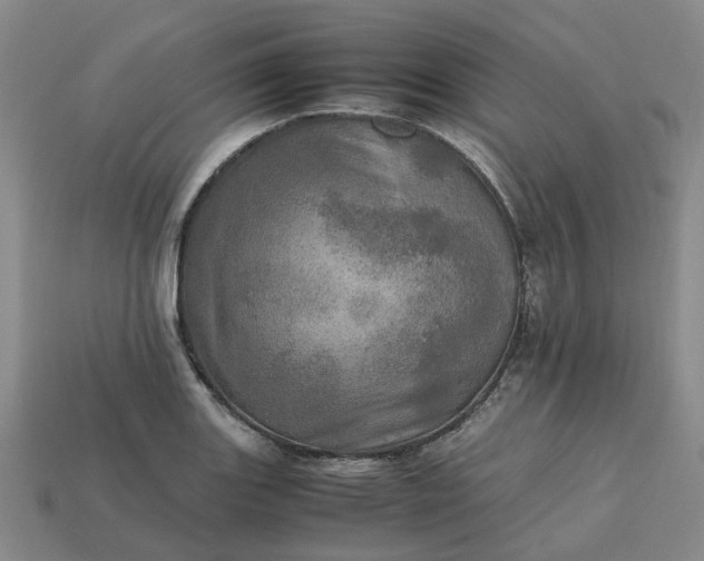 X0000112971131200909101647