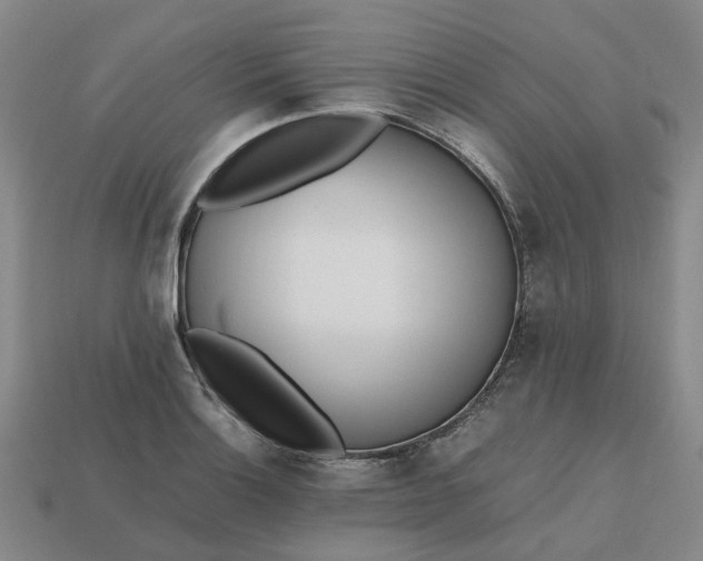 X0000112971132200909101647