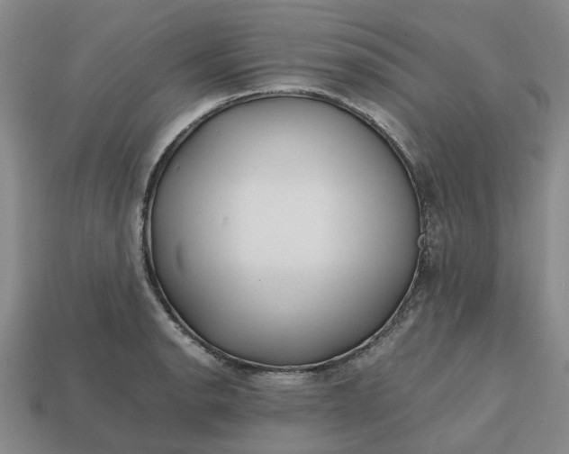 X0000112971134200909101647