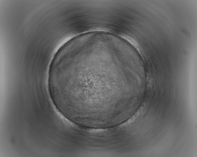 X0000112971135200909101647