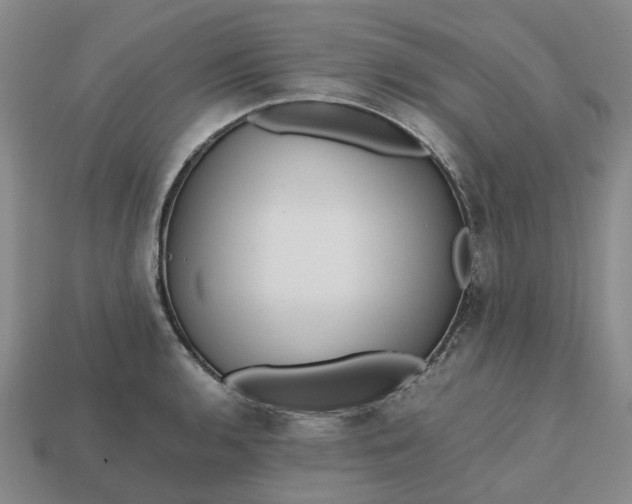 X0000112971136200909101647