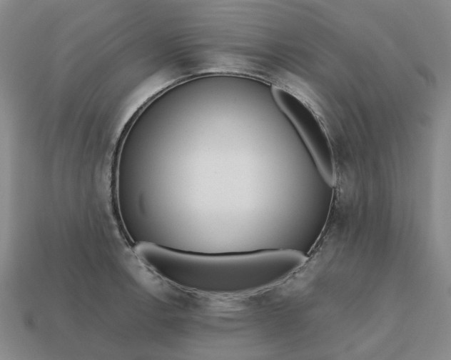 X0000112971138200909101647